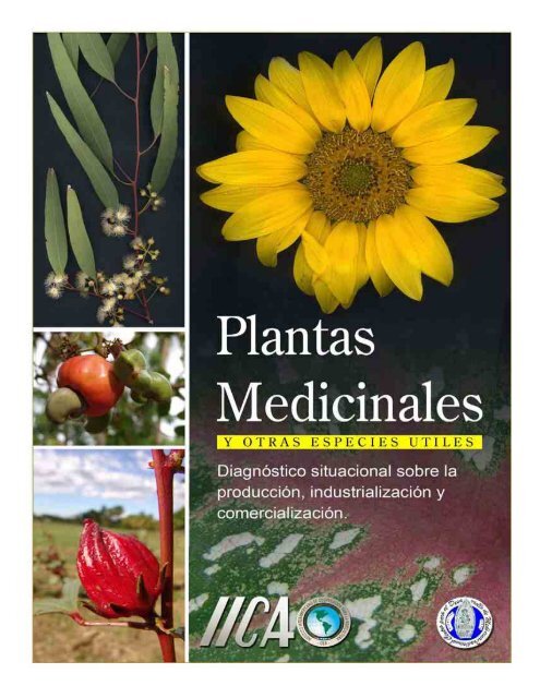 Plantas Colgantes Artificiales 0.70 cm GENERICO