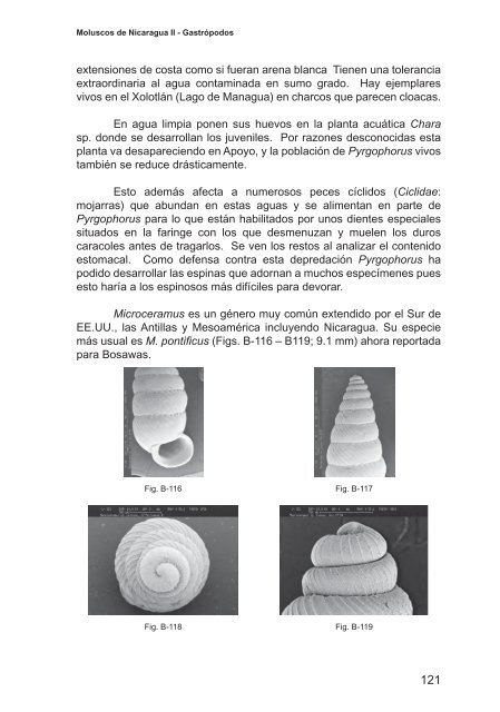 Moluscos de Nicaragua II - Gastrópodos - aecid