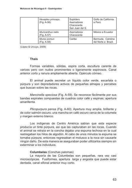 Moluscos de Nicaragua II - Gastrópodos - aecid