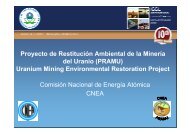 Proyecto de Restitución Ambiental de la Minería del Uranio ...