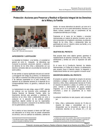 Protección -Acciones para Preservar y Restituir el Ejercicio ... - SPI