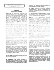 Reglamento Municipal de Protección Civil. - H. Ayuntamiento de ...