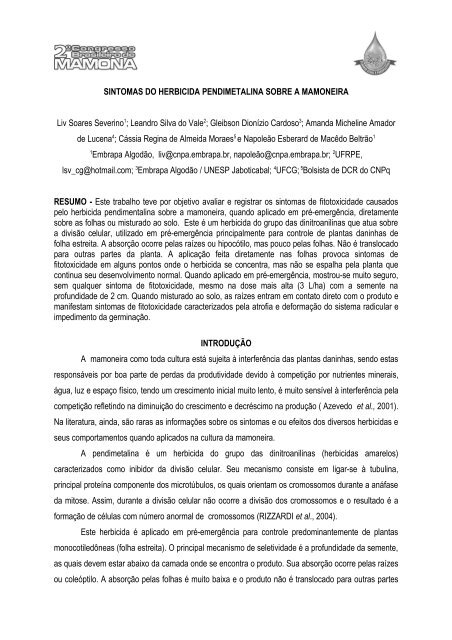 sintomas do herbicida pendimetalina sobre a ... - Embrapa Algodão