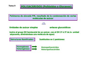 POLISACÁRIDOS (Poliósidos o Glucanos)