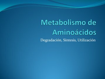 Metabolismo Aminoácidos