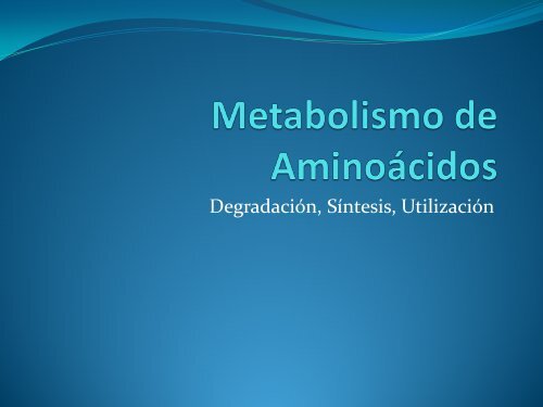 Metabolismo Aminoácidos