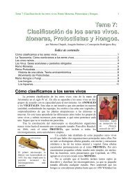 Completo en pdf para imprimir. - Apuntes Marea Verde