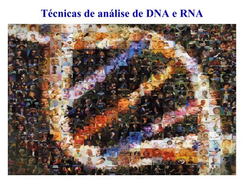 Técnicas de análise de DNA e RNA