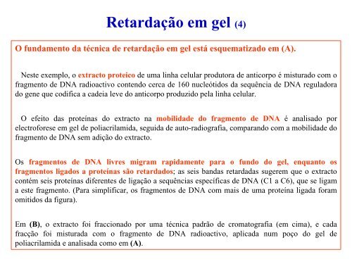 Técnicas de análise de DNA e RNA