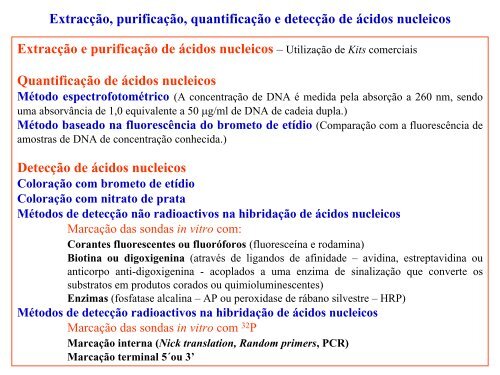 Técnicas de análise de DNA e RNA