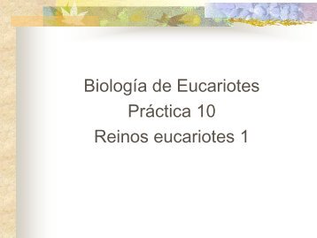 Biología de Eucariotes Práctica 10 Reinos ... - biblioteca upibi