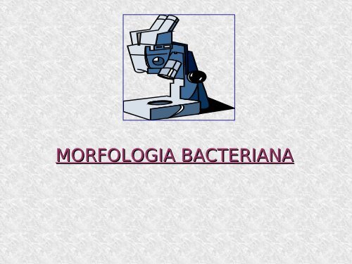 Morfologia bacteriana - ICB