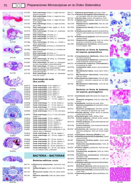 Preparaciones microscópicas en la ordem systemática - lieder.de