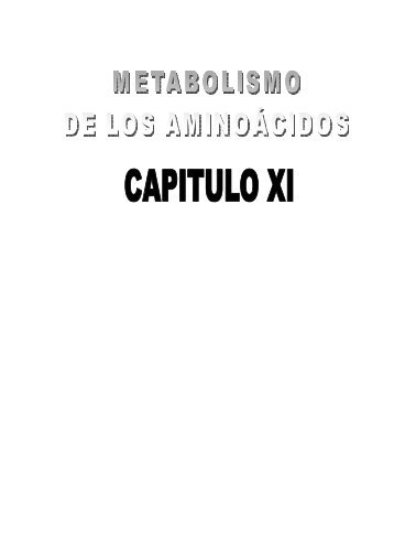 L-CAPITULO_11-vinc-segunda-edicion.pdf