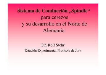 Sistema de conduccion Spindle para Cerezos y su