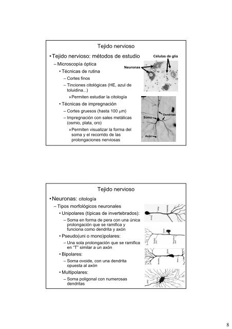 Repaso de histologia-III: tejidos muscular y nervioso