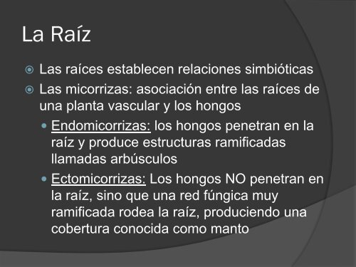 LA RAÍZ, EL TALLO Y LAS HOJAS