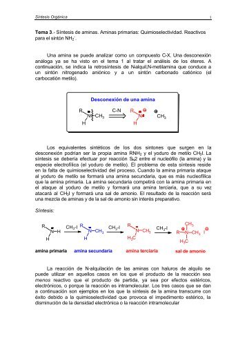Síntesis de aminas - Grupo de Sintesis Organica Universidad Jaume I