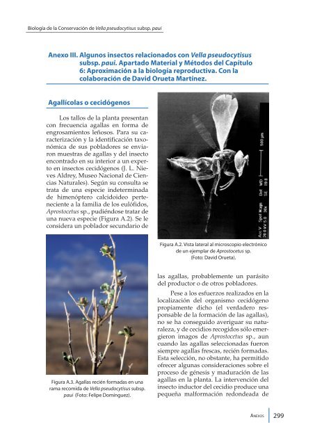 Biología de la Conservación de Vella pseudocytisus subespecie ...