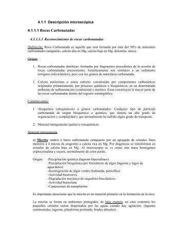 Bajar pdf - Mct Dgf Uchile Chile