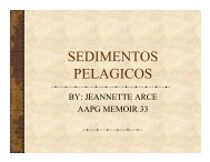 SEDIMENTOS PELAGICOS