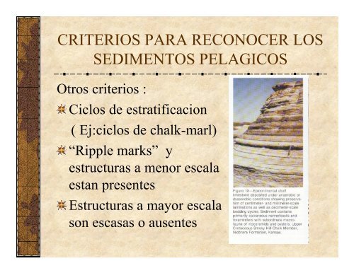 SEDIMENTOS PELAGICOS