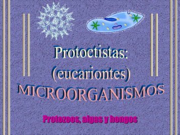 Protoctistas - ies "poeta claudio rodríguez"