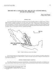 Resumen de la geología del área de San Antonio Bernal, Estado de ...