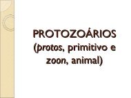 PROTOZOÁRIOS (protos, primitivo e zoon, animal)