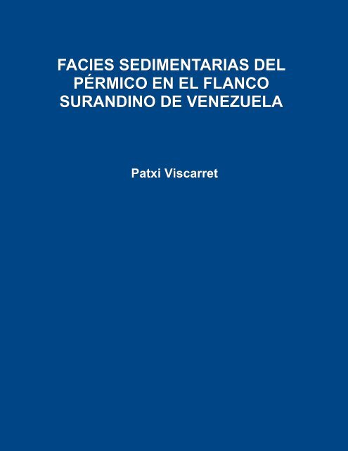 Facies sedimentarias del pérmico en el flanco surandino de ...