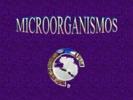 Microorganismos. Protooos, algas y hongos - ies 