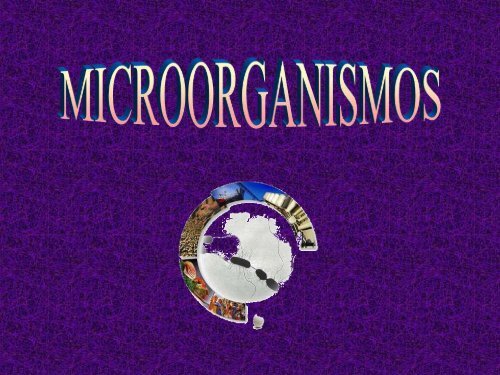 Microorganismos. Protooos, algas y hongos - ies "poeta claudio ...