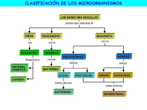 Microorganismos. Protooos, algas y hongos - ies "poeta claudio ...