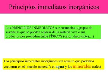 Algunas funciones del agua en la materia viva - IES Ramon Llull