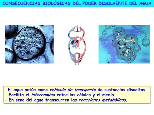 Agua y sales minerales - ies "poeta claudio rodríguez"