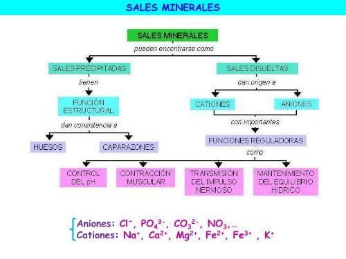 Agua y sales minerales - ies "poeta claudio rodríguez"