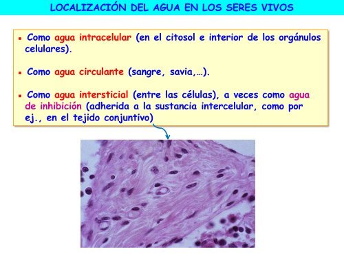 Agua y sales minerales - ies "poeta claudio rodríguez"