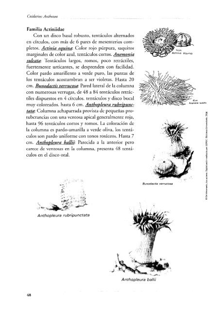 Zoología Marina - Blog Grado Ciencias del Mar