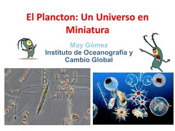 El Plancton: un Universo en miniatura - Acceda