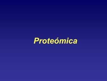 Microarrays de proteínas