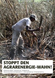 STOPPT DEN AGRARENERGIE-WAHN! - Rettet den Regenwald e.V.