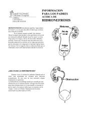 HIDRONEFROSIS - Stritch School of Medicine