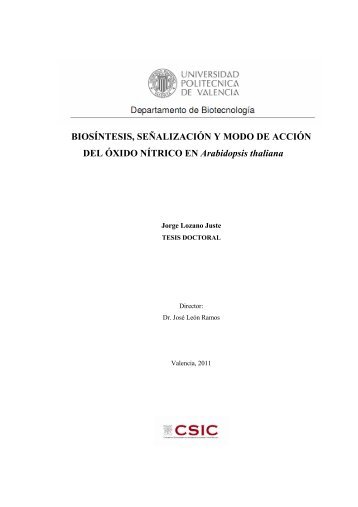 BIOSÍNTESIS, SEÑALIZACIÓN Y MODO DE ACCIÓN DEL ÓXIDO ...