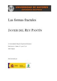 Nº 62bis – “Las formas Fractales. ”. JAVIER DEL REY PANTIN - umer