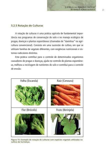 Cadernos de Educação Ambiental – Agricultura Sustentável