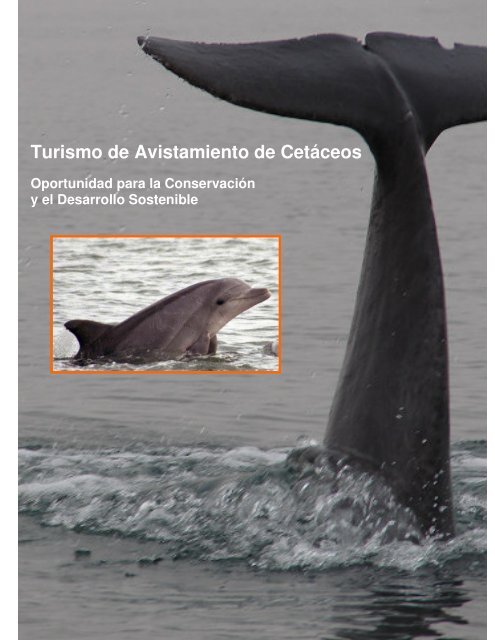 Turismo de Avistamiento de Cetáceos - mundoazul