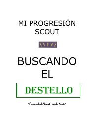 BUSCANDO EL DESTELLO - Grupo Scout Nº91 San Patricio