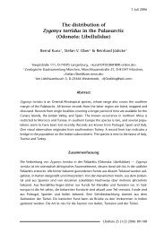 The distribution of Zygonyx torridus in the Palaearctic (Odonata ...