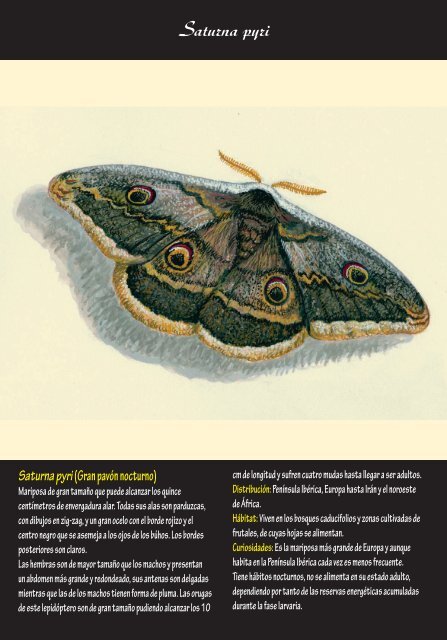 Fichas de insectos 2 – (pdf, 5.5 MB)