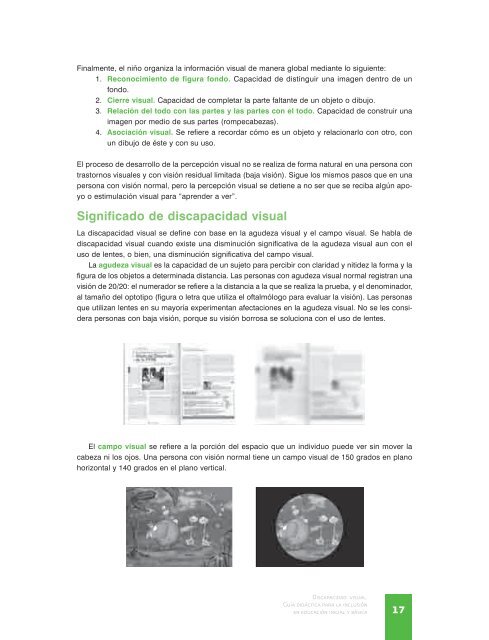 discapacidad-visual